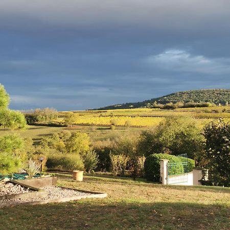 Studio Spacieux, Route Des Vins Rosheim Zewnętrze zdjęcie