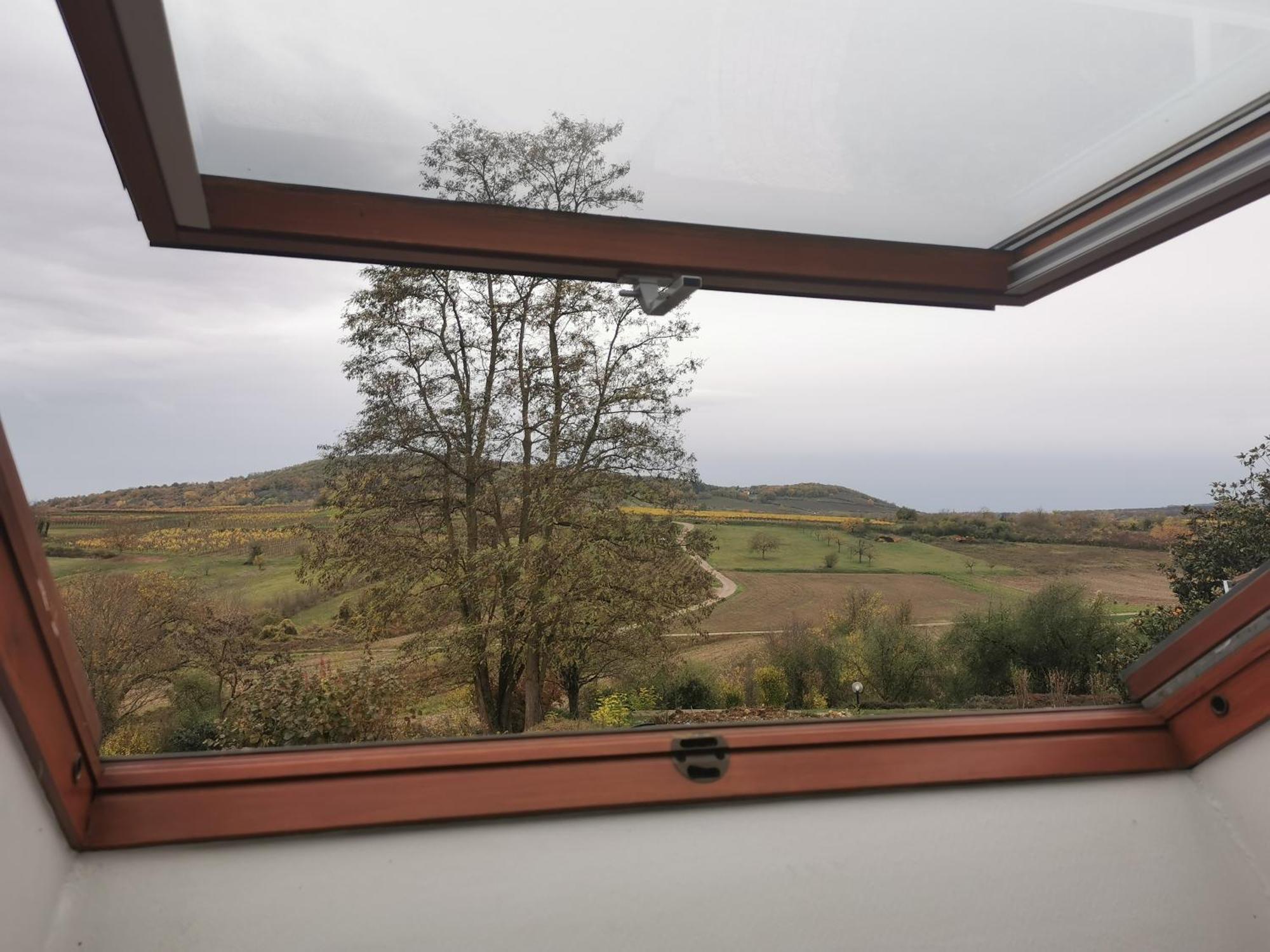 Studio Spacieux, Route Des Vins Rosheim Zewnętrze zdjęcie